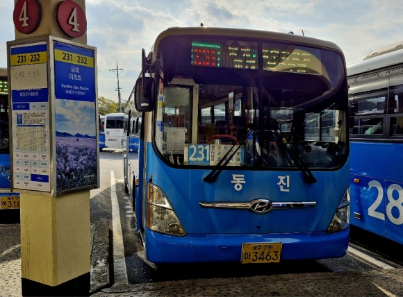 동진여객 이미지