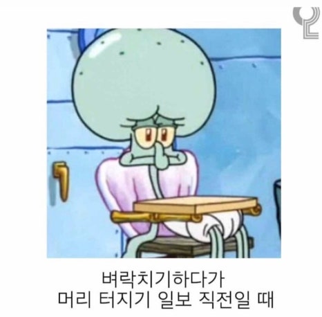 매일 크리스마스 이미지