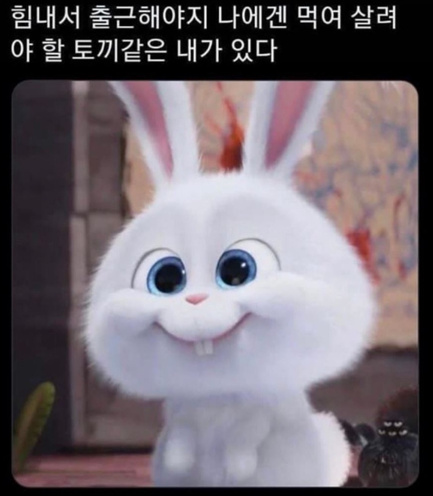 맥스담배 이미지