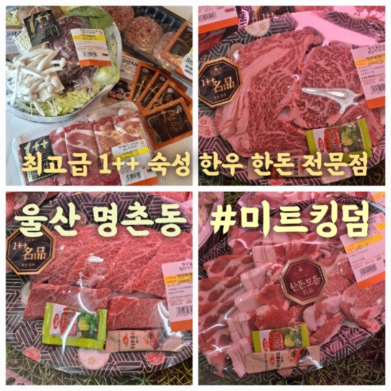한빛미트 이미지