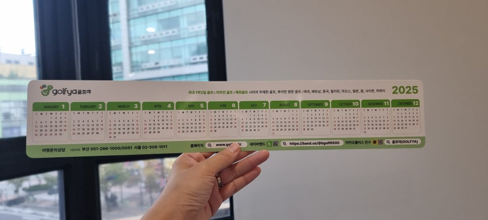 모아관광여행사 이미지