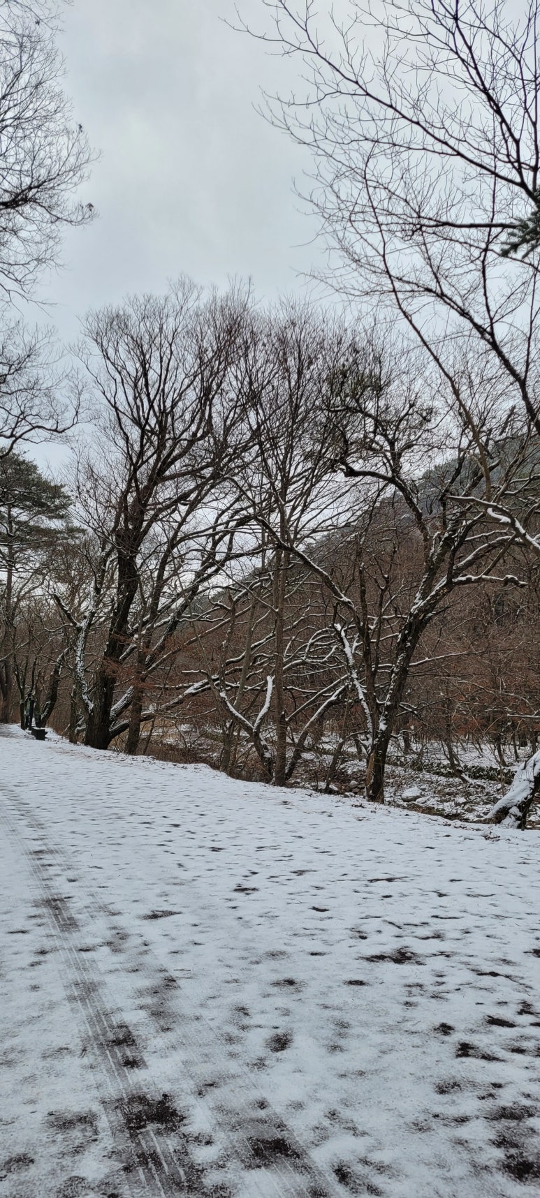 배영숙산야초밥상 이미지
