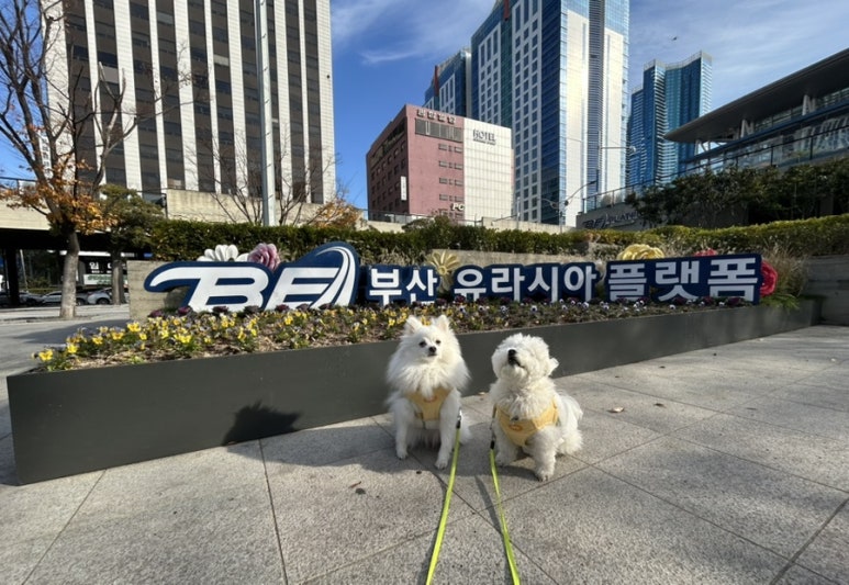 총총 이미지