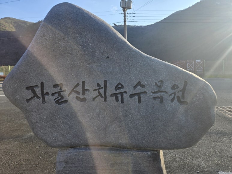 자굴산치유수목원 이미지