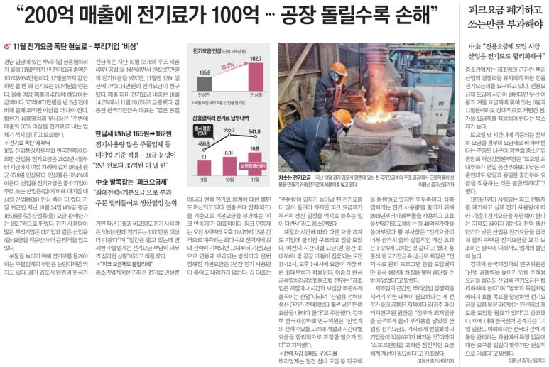더뿌리 이미지