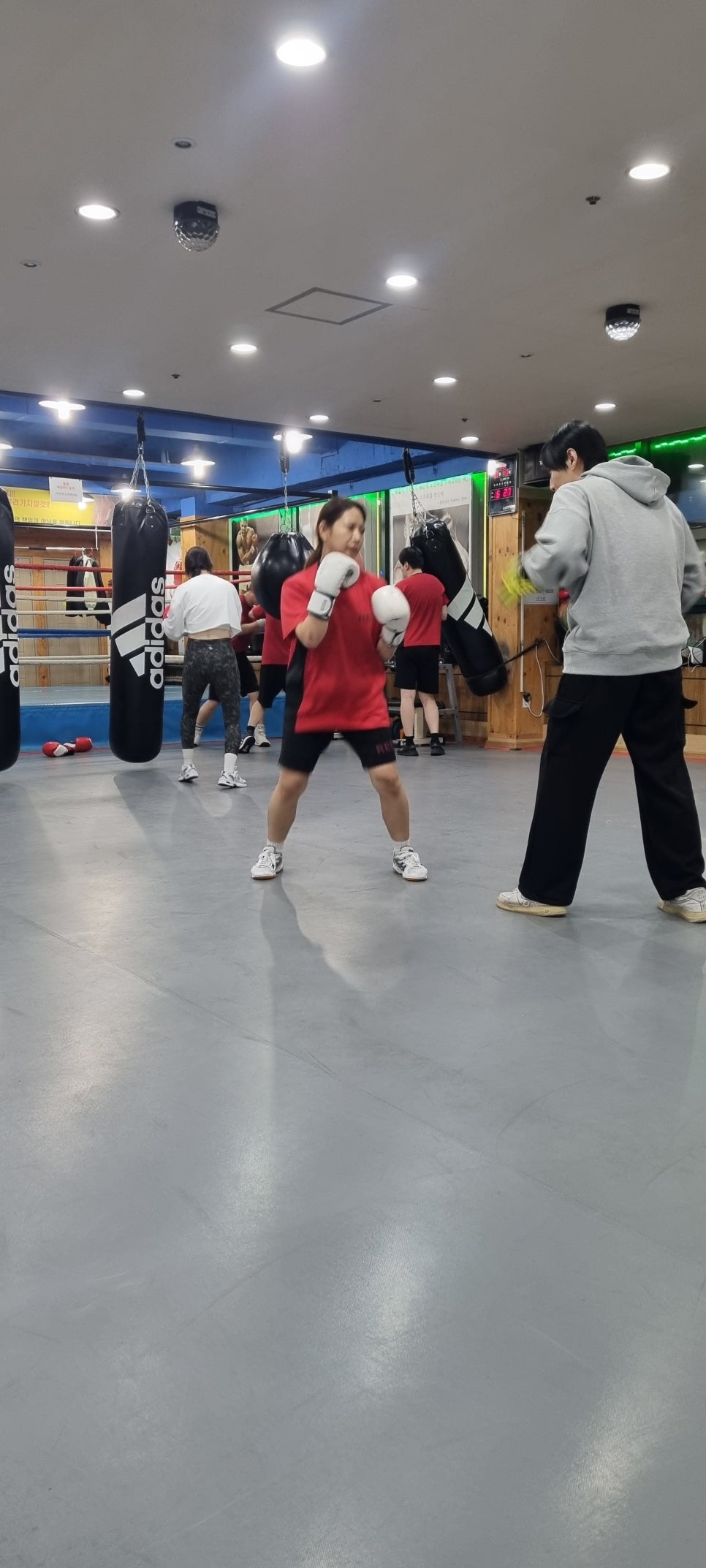 레드복싱클럽 이미지