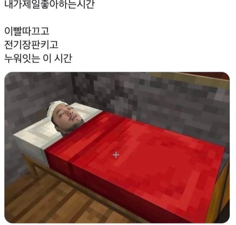허밍버드 이미지
