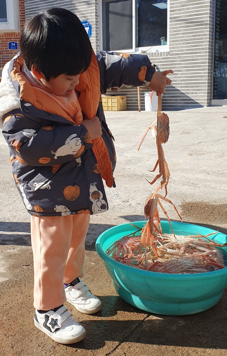 순양호영덕대게직판장 이미지