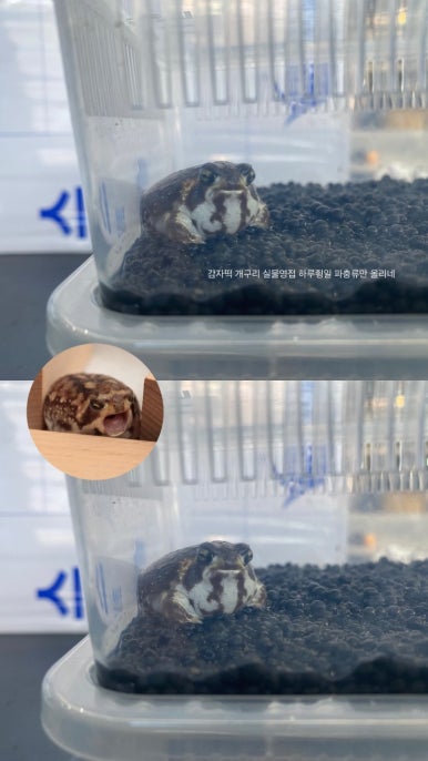 샵정과떡 이미지