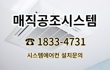 자이크리닝 이미지