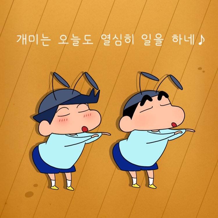 쎄뮤 이미지