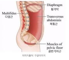 예스짐 이미지