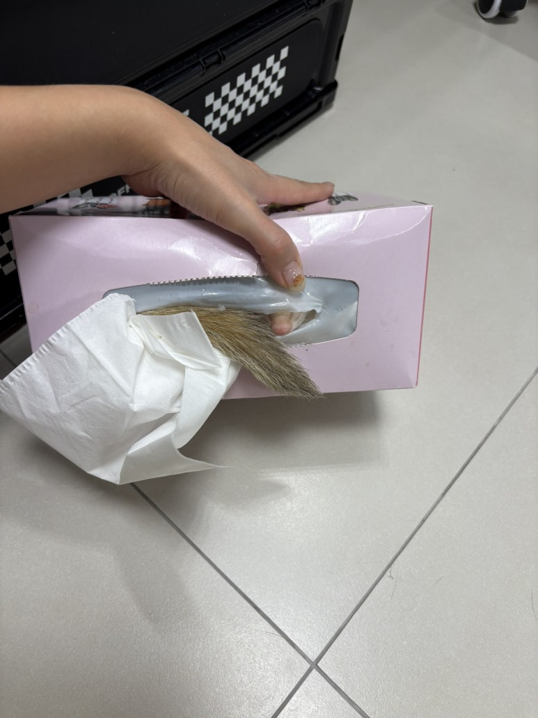 제뉴엔니 이미지