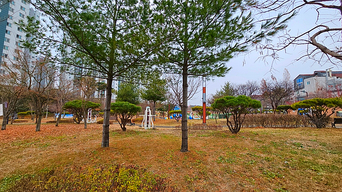 이디야커피당진 이미지
