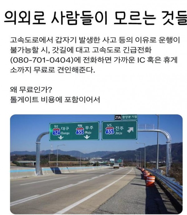 하나정보 이미지