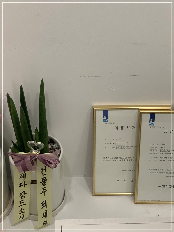 래쉬빈 이미지