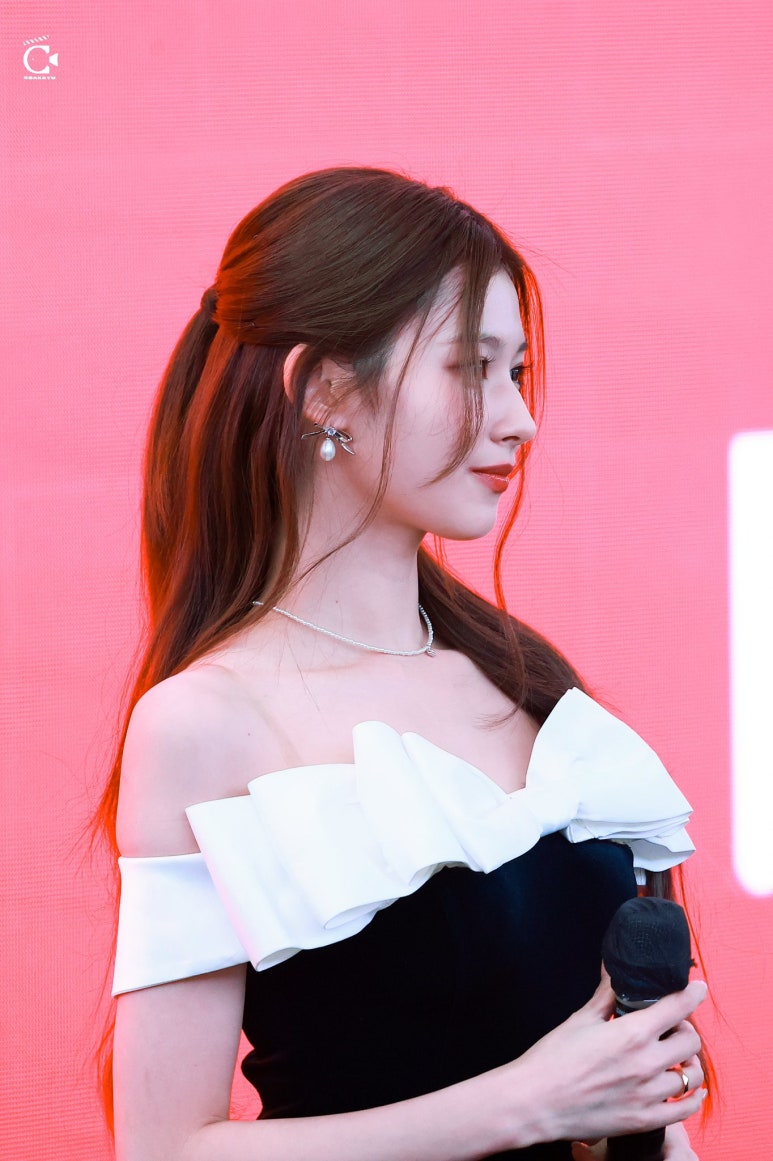 BDM 이미지