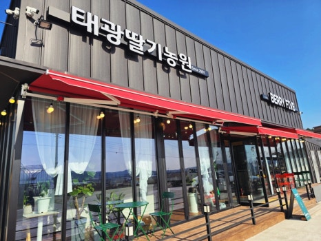 카페베리파이브 이미지