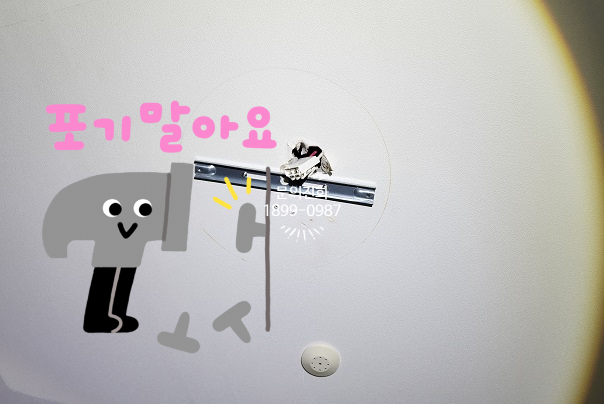 향남조명전기 이미지