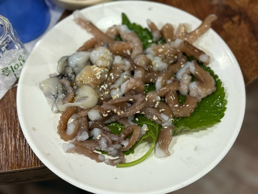 기장꼼장어 사진 4