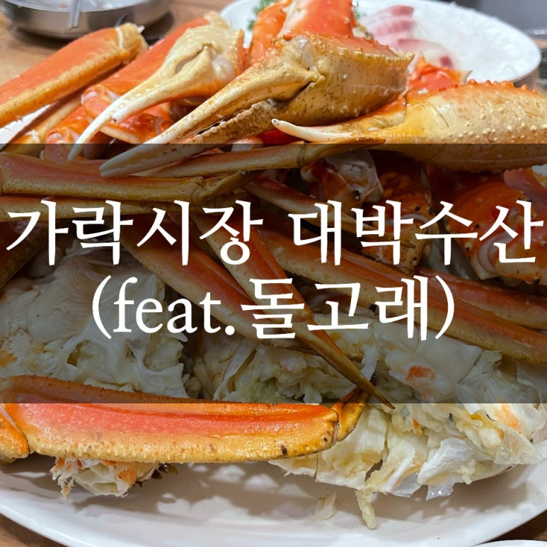 돌고래회 이미지