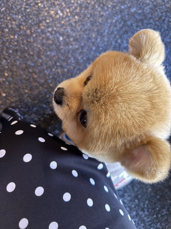카페반 이미지