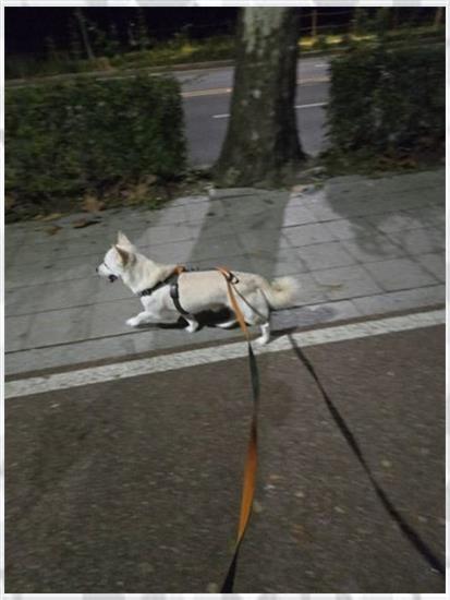 힐링체형관리 이미지