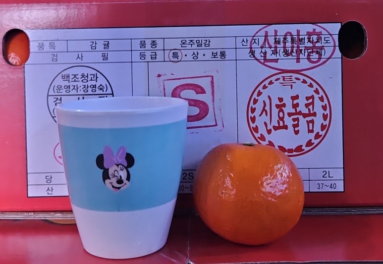 홍귤 이미지