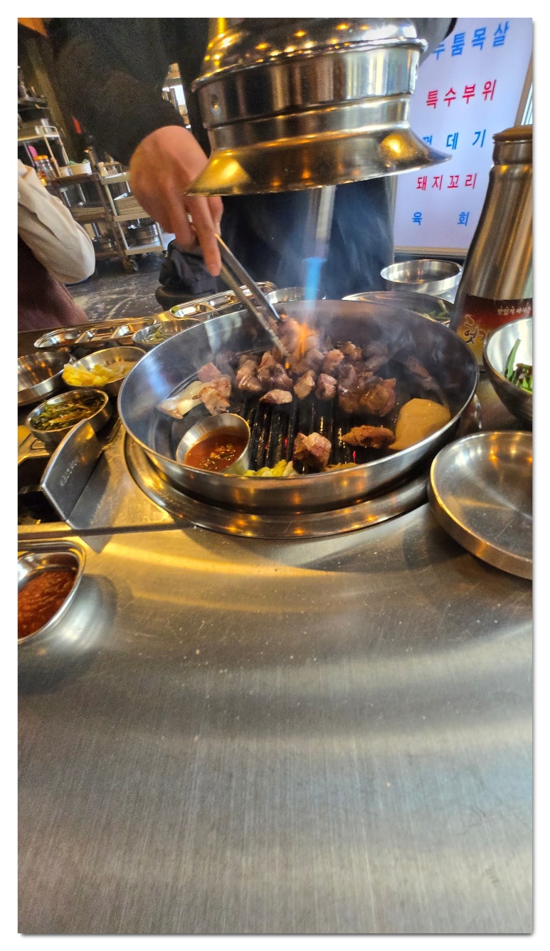 돼지대학교 이미지