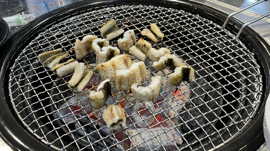 진배기 아나고 곰장어 이미지