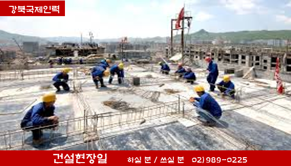 국제인력 직업소개소 이미지