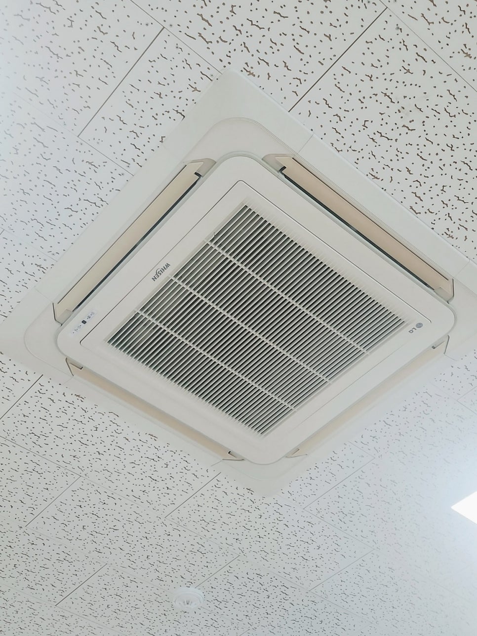 홍북초등학교 이미지