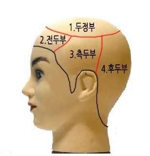 헤어브로시 이미지