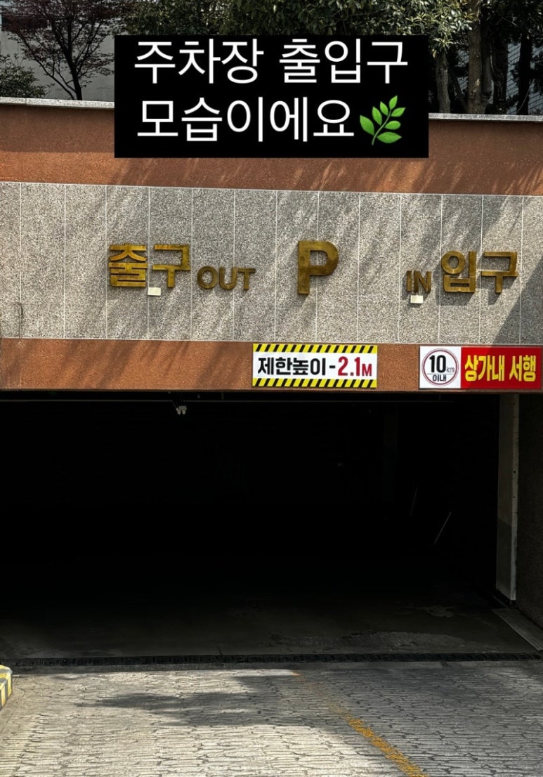 은애 이미지