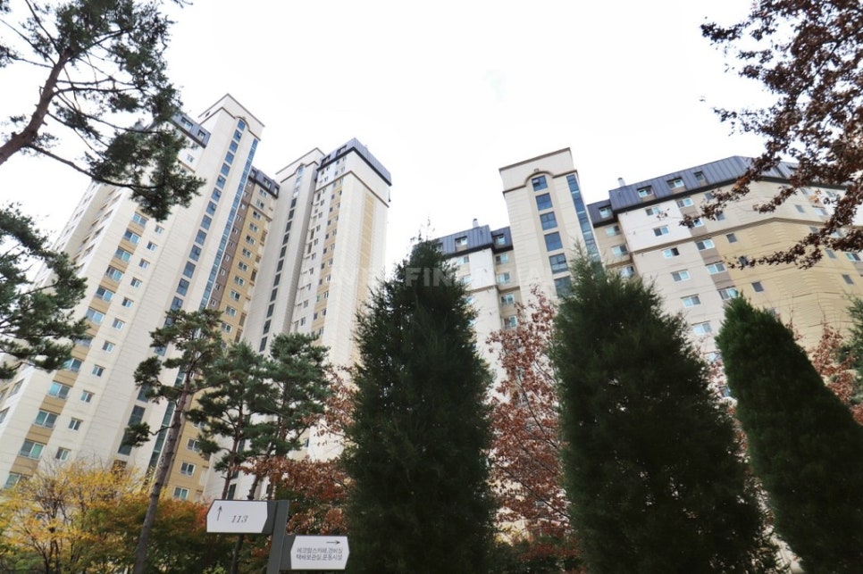 메트로21 이미지