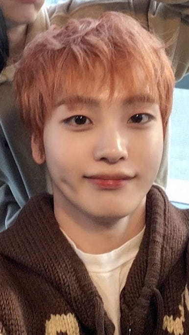 디오르빗헤어 이미지