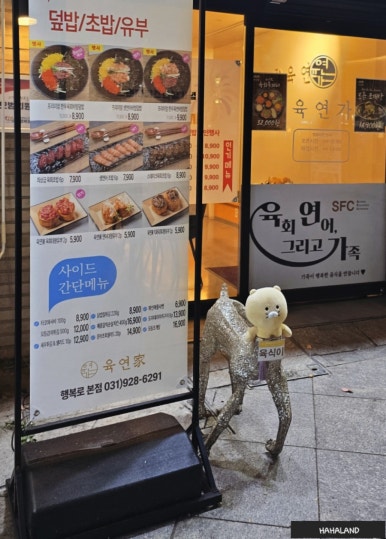 육연가 이미지