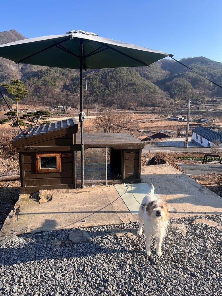 사인암황토마을펜션 이미지