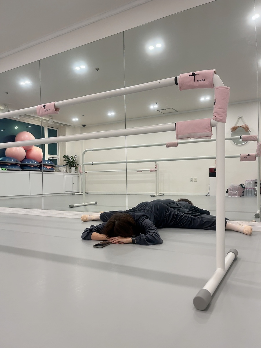 보드레핏 이미지