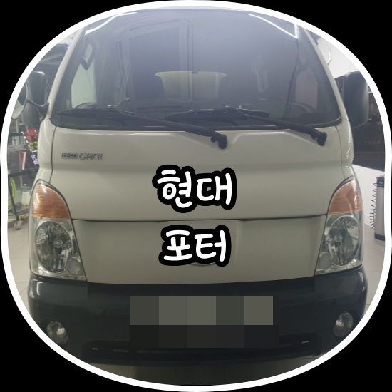 김프로카케어 이미지