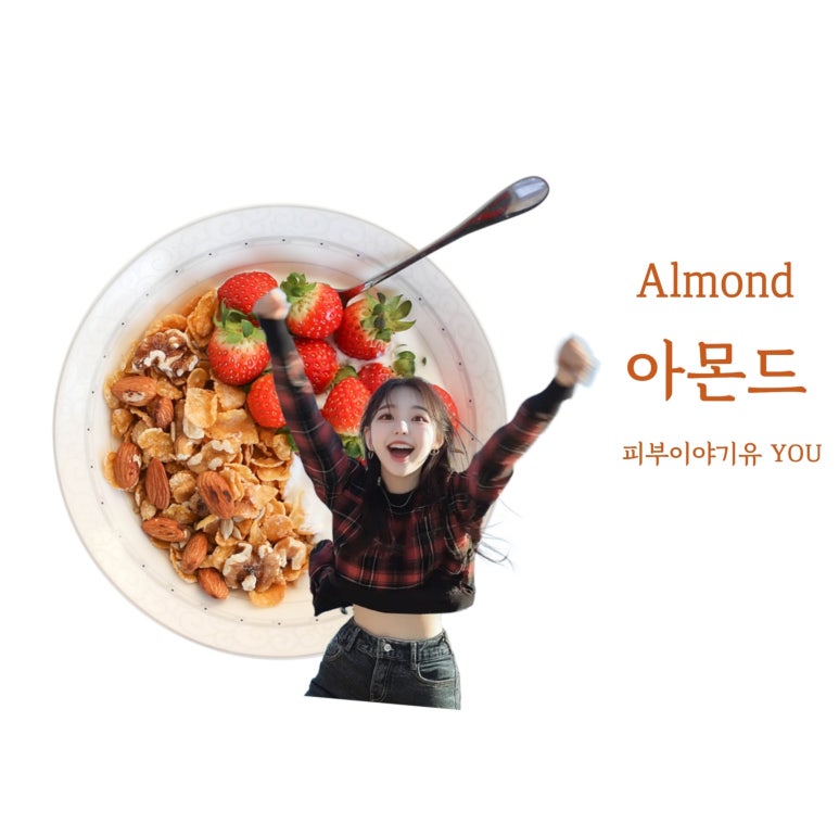 에이치디엘 이미지