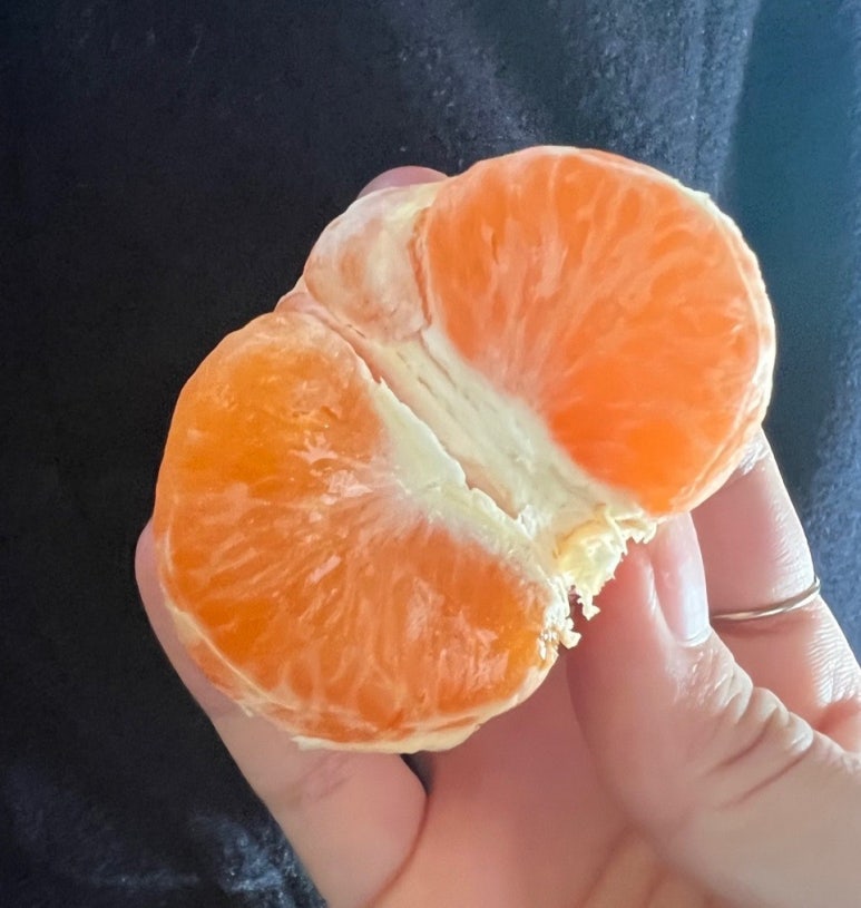 홍귤 이미지