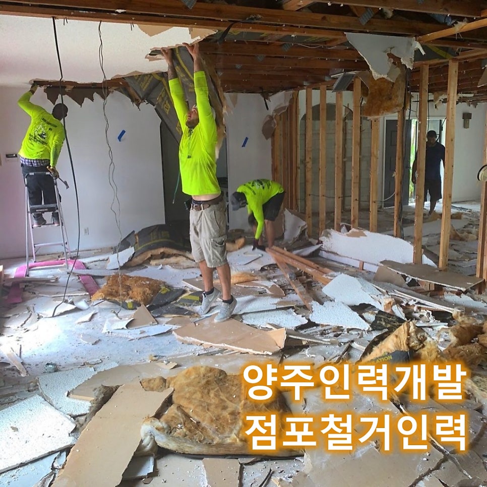 양주인력개발 이미지