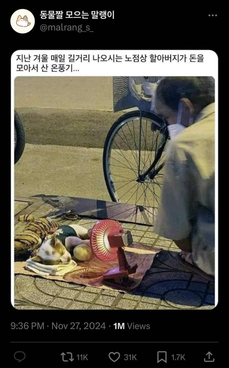 안녕하새우 이미지
