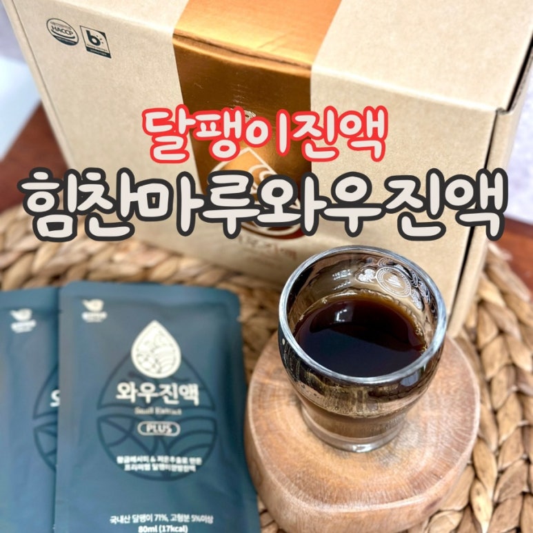 힘찬마루 이미지