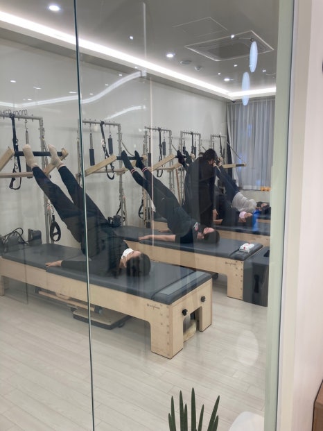 자이로토닉에코 이미지