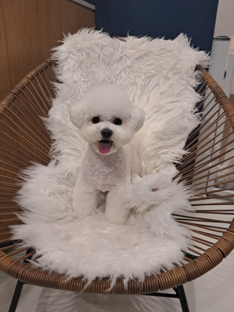 예쁜미용 이미지
