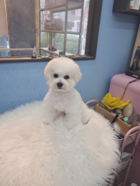 예쁜미용 이미지