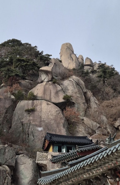 산내들 이미지