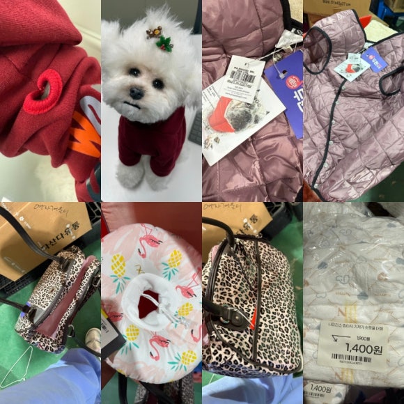 다있소유통 이미지